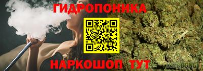 a pvp Рузаевка